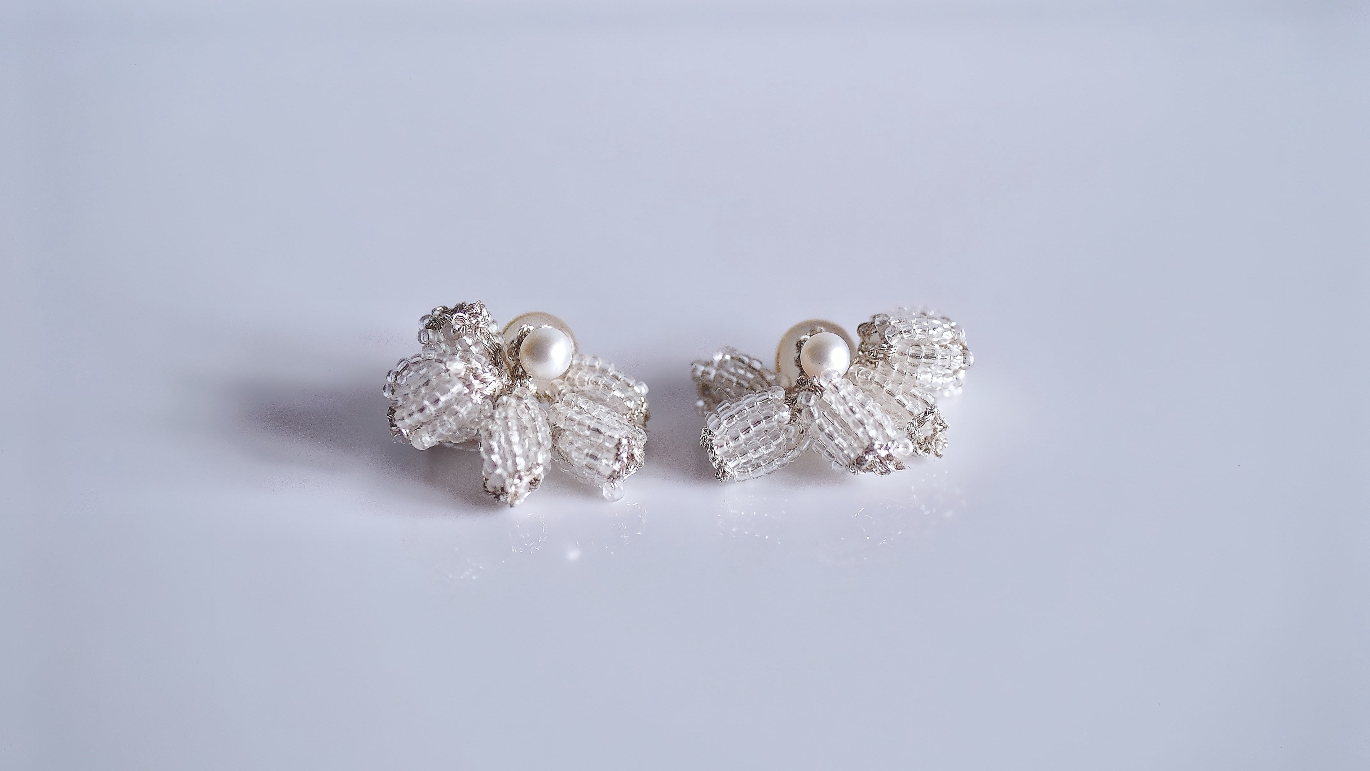 晨花 Dew Blossom (白)