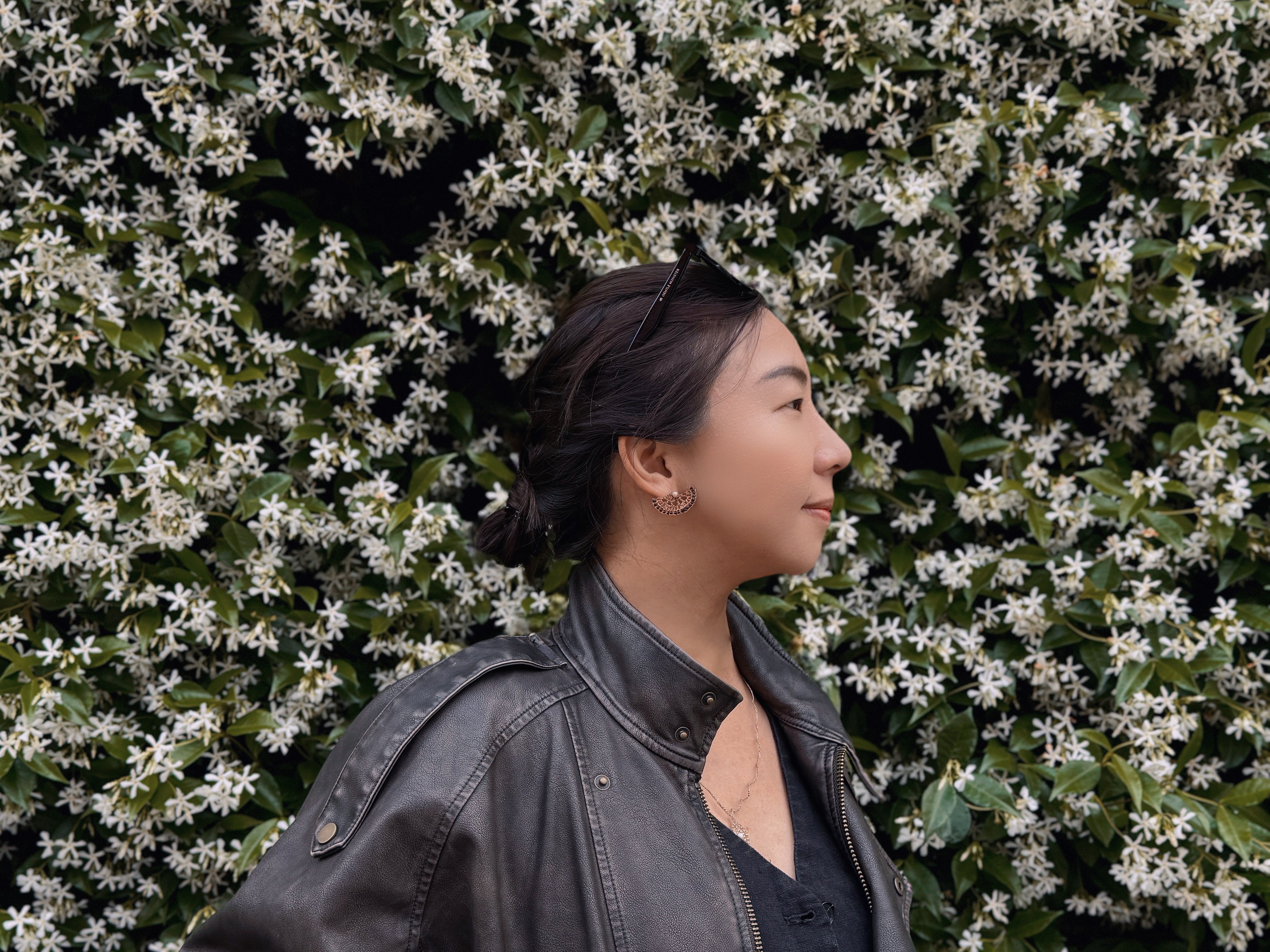 黑羽扇 Éventail Noir