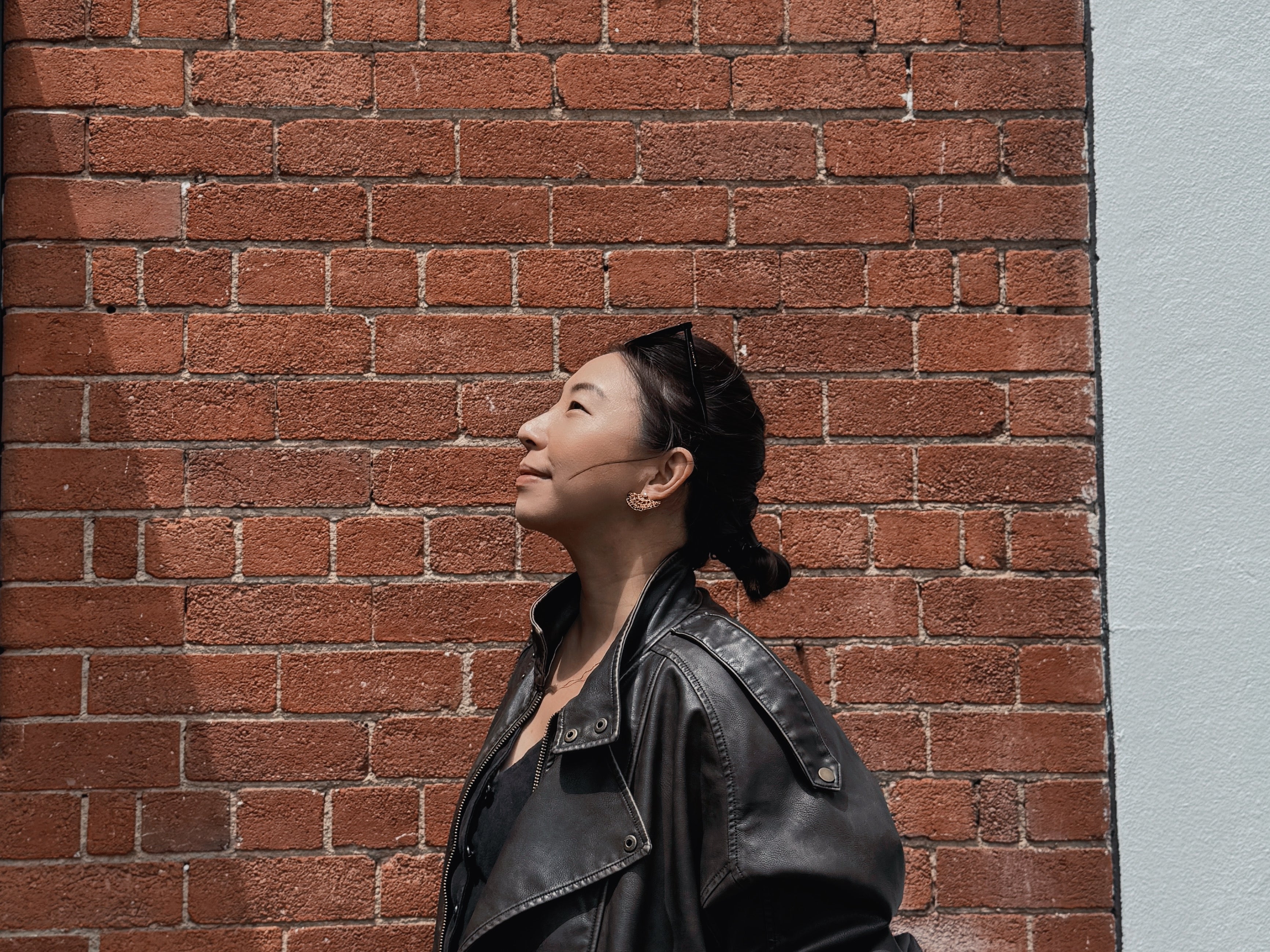 黑羽扇 Éventail Noir